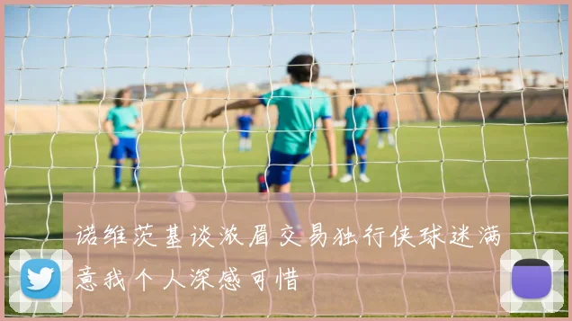 诺维茨基谈浓眉交易独行侠球迷满意我个人深感可惜